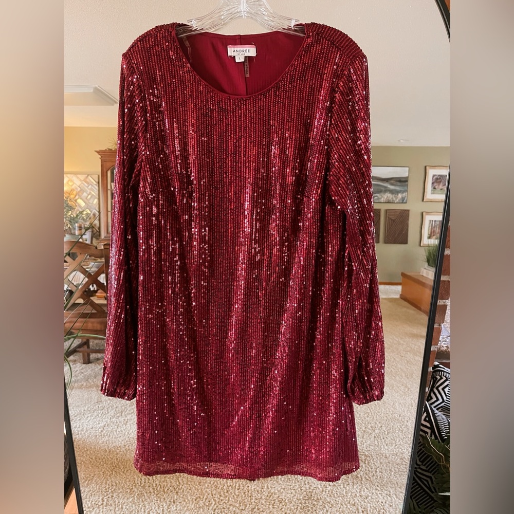 Gorgeous maroon sequin dress size large. Worn twice. Loose fit. Good condition!